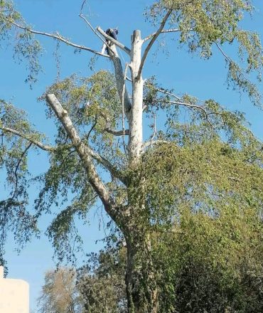 WhatsApp Image 2025-10-17 at 08.34.12 (1)